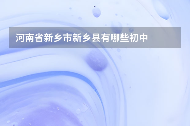 河南省新乡市新乡县有哪些初中