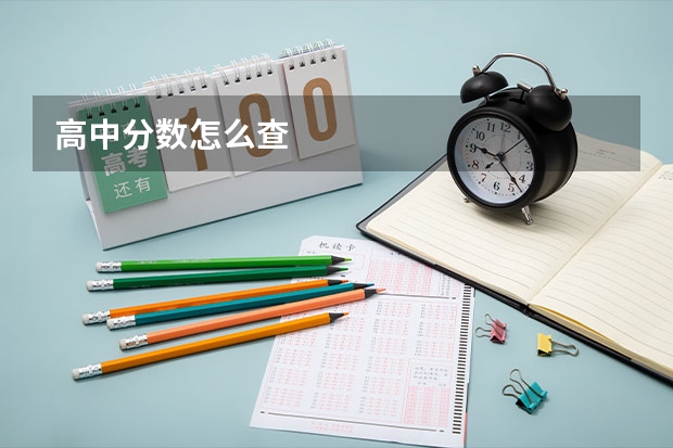 高中分数怎么查