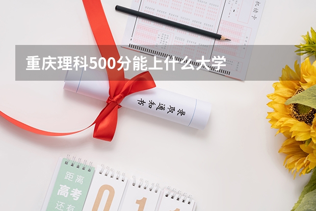 重庆理科500分能上什么大学