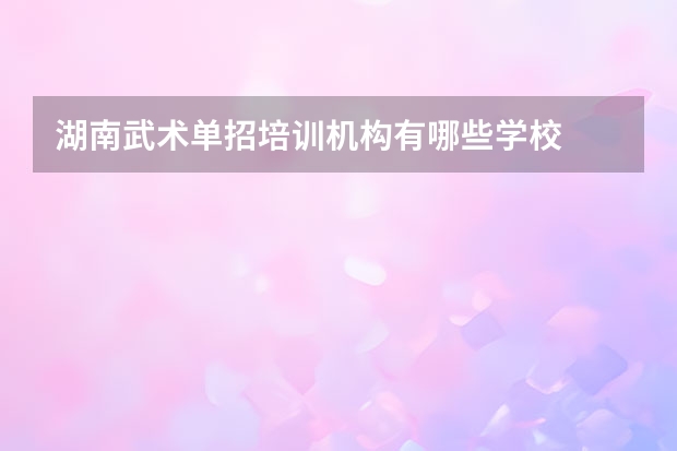 湖南武术单招培训机构有哪些学校