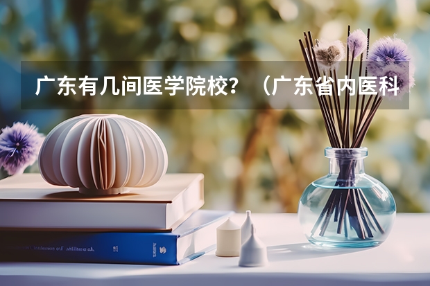 广东有几间医学院校？（广东省内医科大学排名）