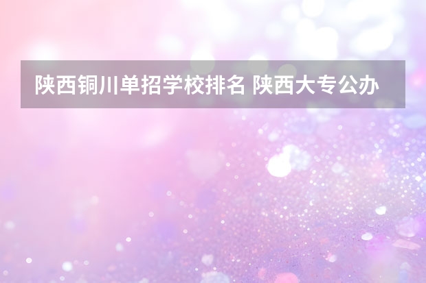 陕西铜川单招学校排名 陕西大专公办学校排名