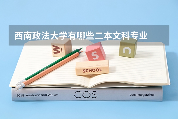 西南政法大学有哪些二本文科专业