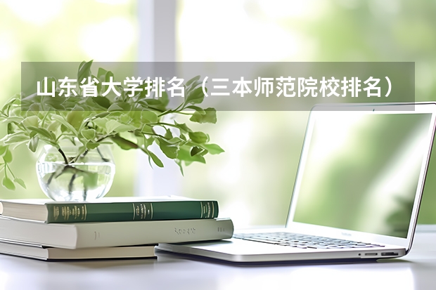 山东省大学排名(三本师范院校排名)