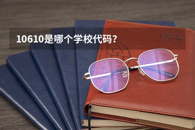 10610是哪个学校代码?