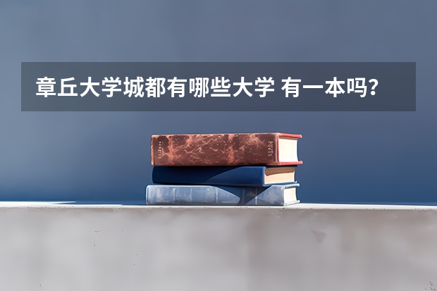 章丘大学城都有哪些大学 有一本吗?