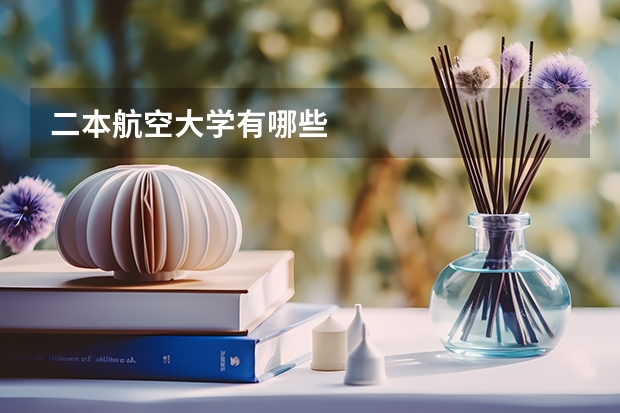 二本航空大学有哪些