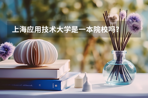 上海应用技术大学是一本院校吗?