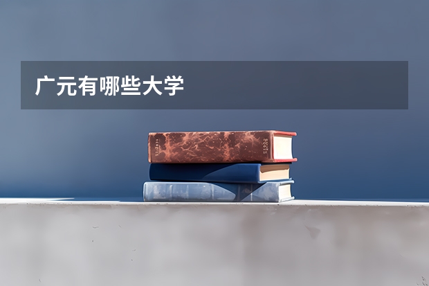 广元有哪些大学