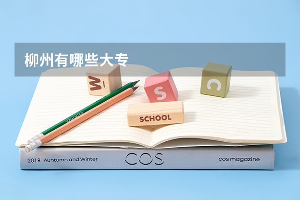 柳州有哪些大专