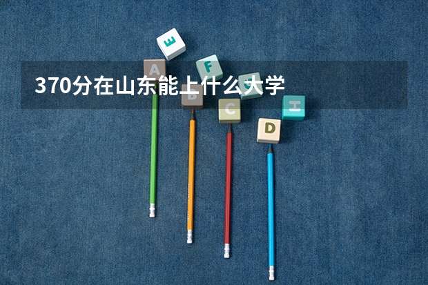 370分在山东能上什么大学