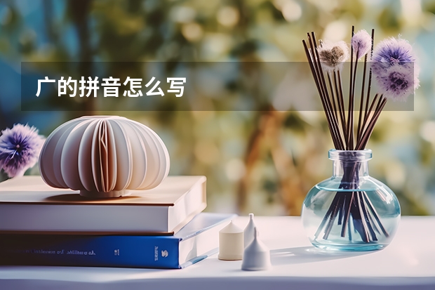 广的拼音怎么写