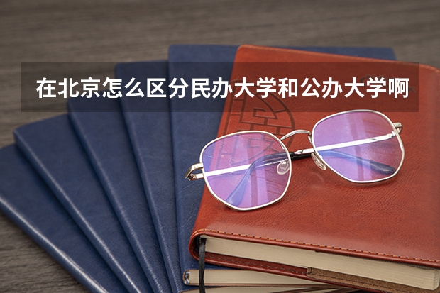 在北京怎么区分民办大学和公办大学啊?