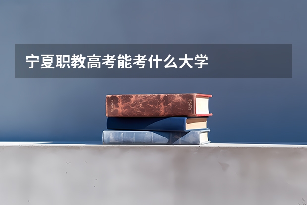 宁夏职教高考能考什么大学
