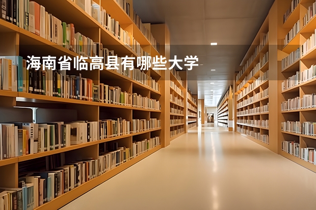 海南省临高县有哪些大学
