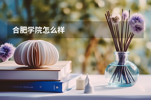 合肥学院怎么样