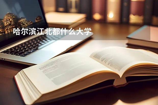 哈尔滨江北都什么大学