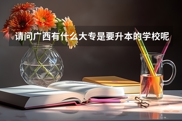 请问广西有什么大专是要升本的学校呢？