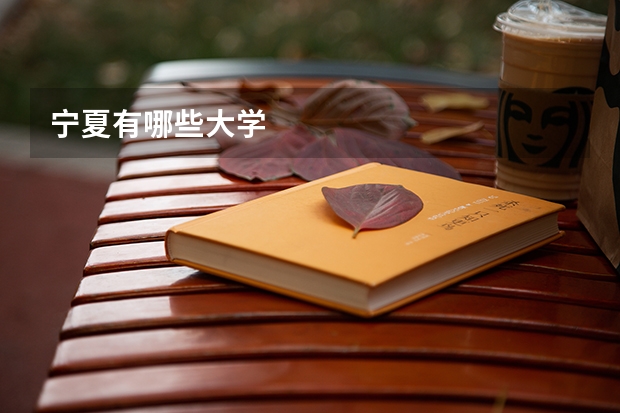 宁夏有哪些大学