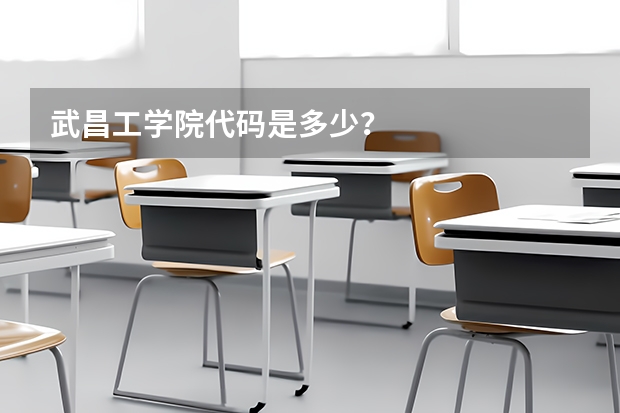 武昌工学院代码是多少？