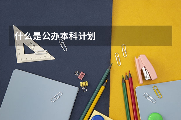 什么是公办本科计划