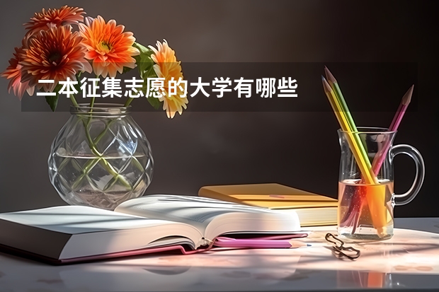 二本征集志愿的大学有哪些