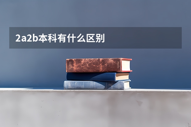 2a2b本科有什么区别