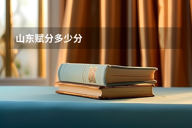 山东赋分多少分