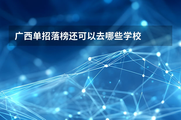 广西单招落榜还可以去哪些学校