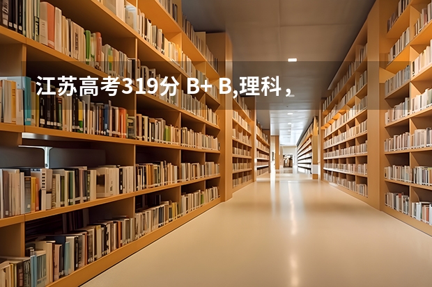 江苏高考319分 B+ B,理科，如果想在二本的大学碰碰运气，大概报什么学校呢？
