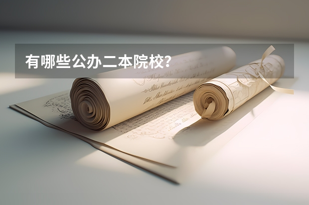 有哪些公办二本院校？