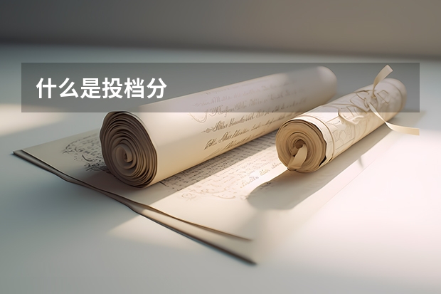 什么是投档分