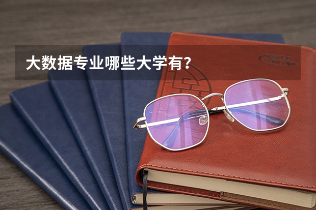 大数据专业哪些大学有？