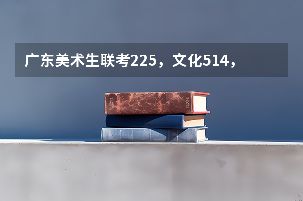 广东美术生联考225，文化514，能上深圳大学吗？