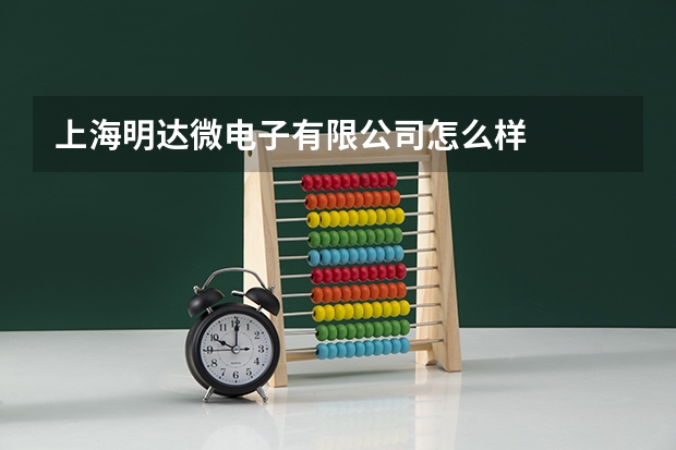 上海明达微电子有限公司怎么样