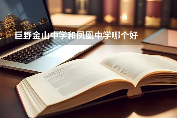 巨野金山中学和凤凰中学哪个好