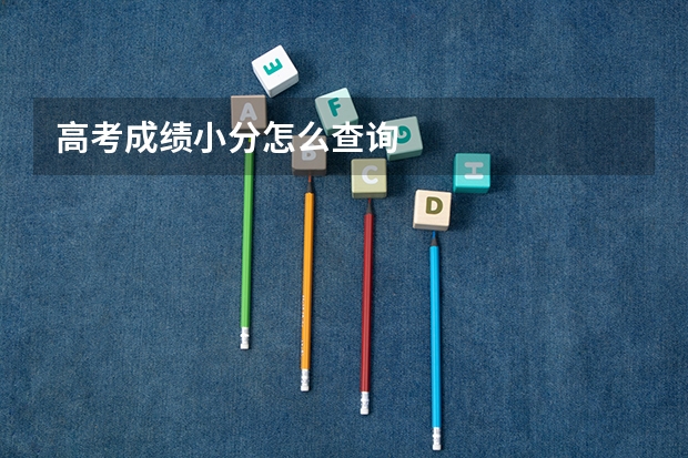 高考成绩小分怎么查询