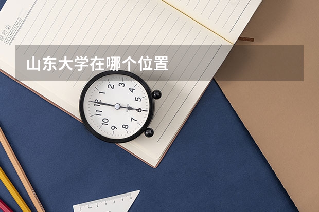 山东大学在哪个位置