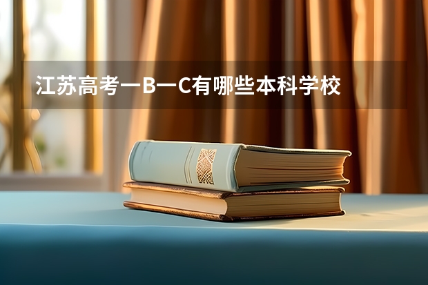 江苏高考一B一C有哪些本科学校