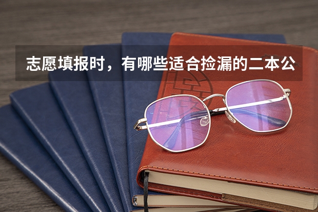 志愿填报时，有哪些适合捡漏的二本公办大学？