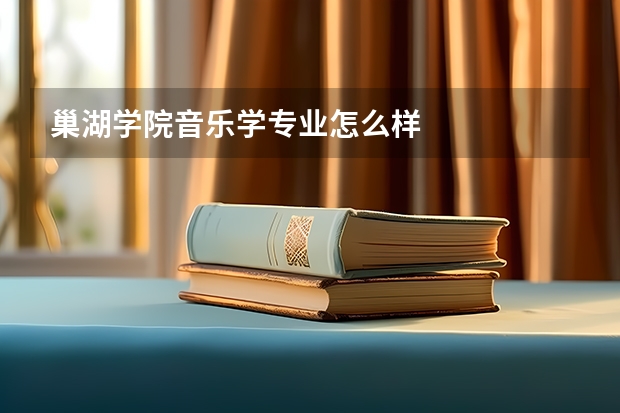 巢湖学院音乐学专业怎么样