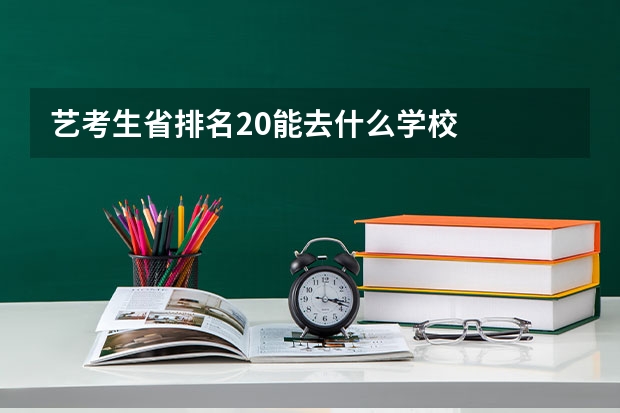 艺考生省排名20能去什么学校