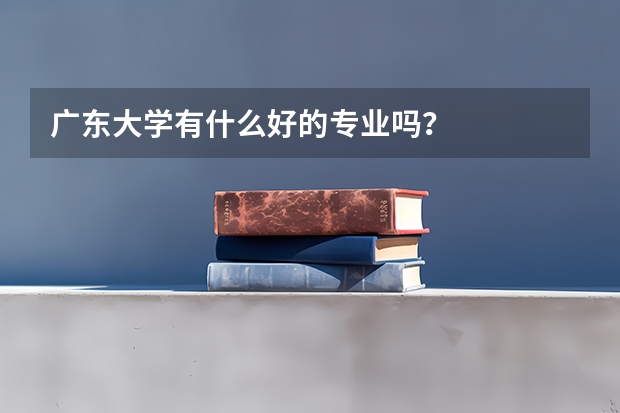 广东大学有什么好的专业吗?
