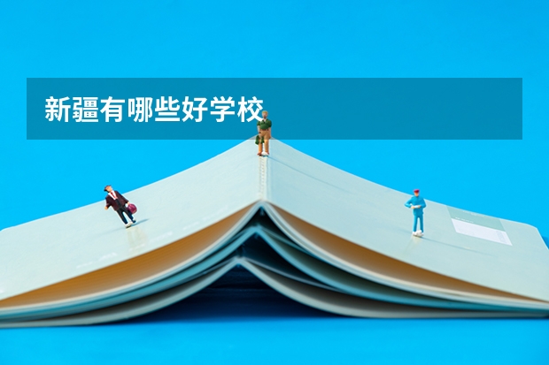 新疆有哪些好学校