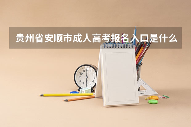 贵州省安顺市成人高考报名入口是什么？