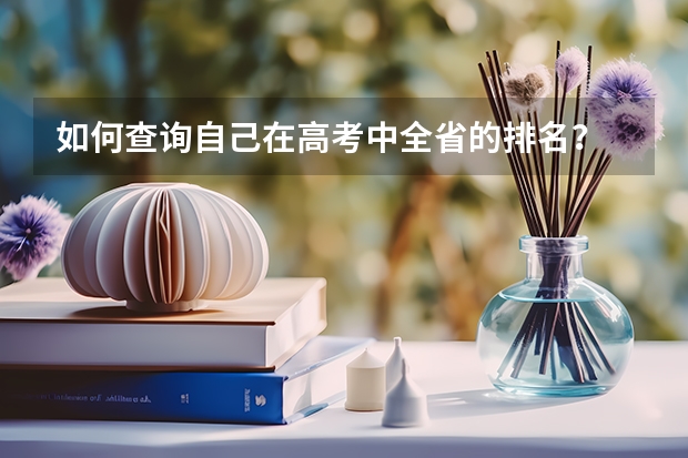 如何查询自己在高考中全省的排名？
