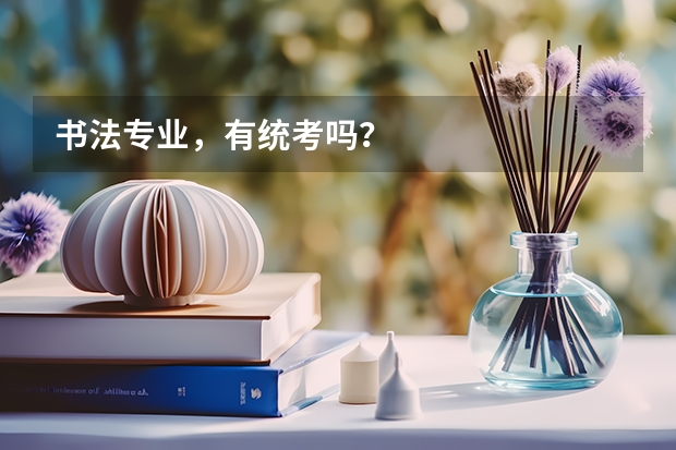 书法专业，有统考吗？