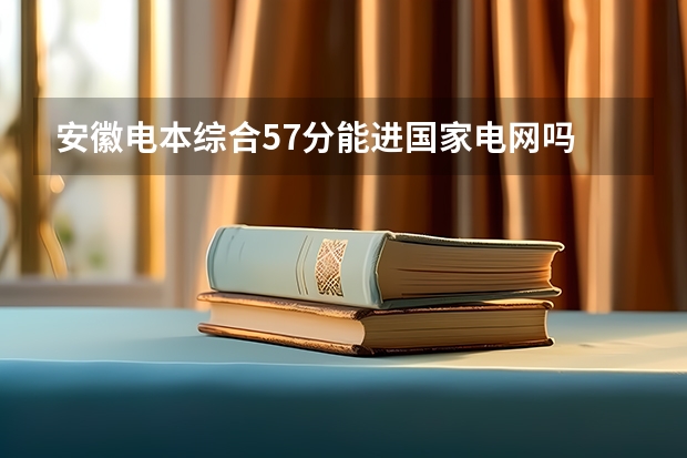 安徽电本综合57分能进国家电网吗