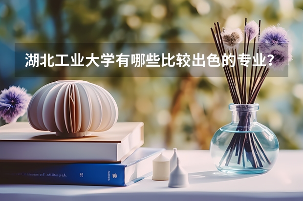 湖北工业大学有哪些比较出色的专业?