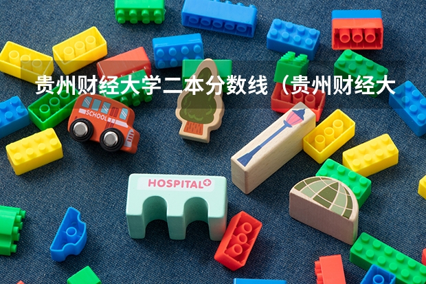 贵州财经大学二本分数线（贵州财经大学分数线）